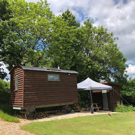 The Shepherds Hut At The Shippen, Tiphayes Honiton Εξωτερικό φωτογραφία